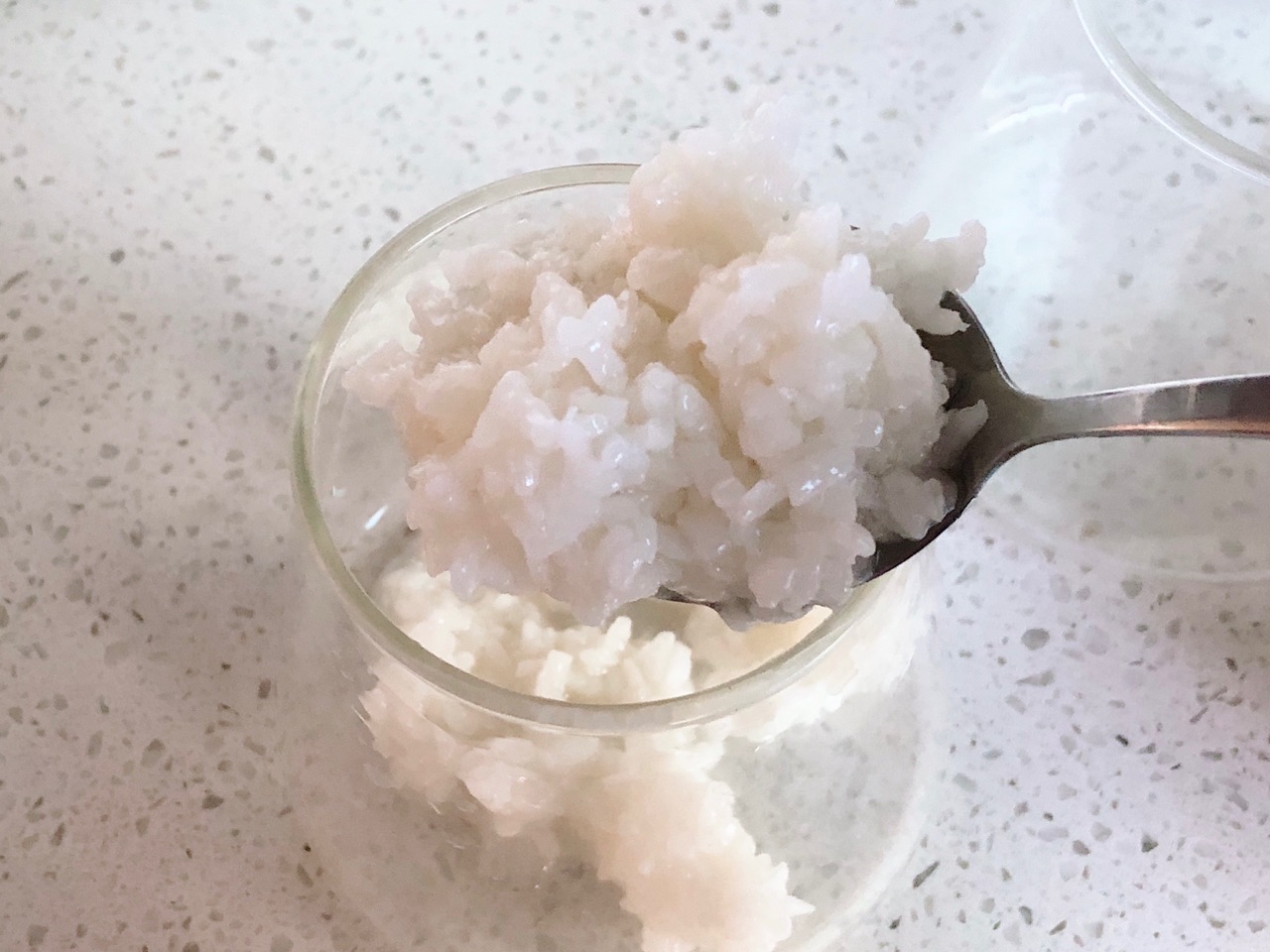 桂花酒酿奶茶㊙️附自制醪糟省时省力做法