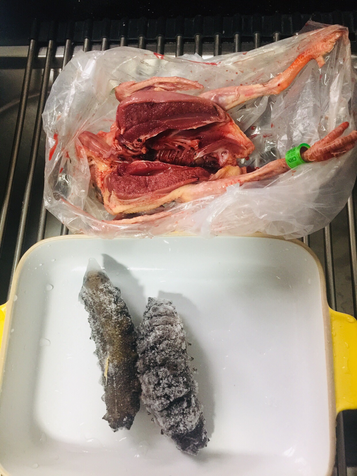 海参炖鸽