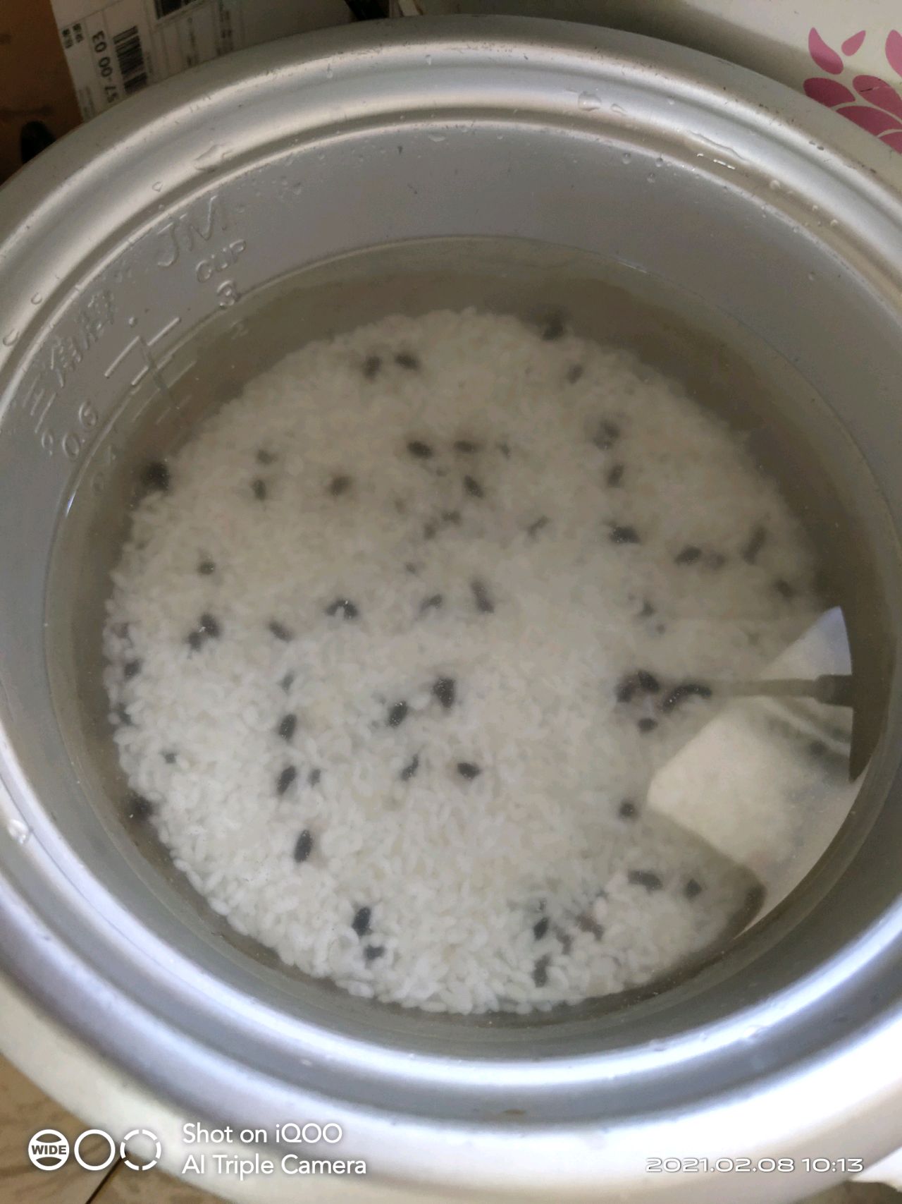 海苔虾皮饭团