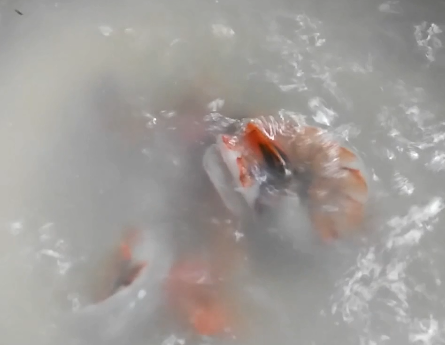 海味鲜虾面