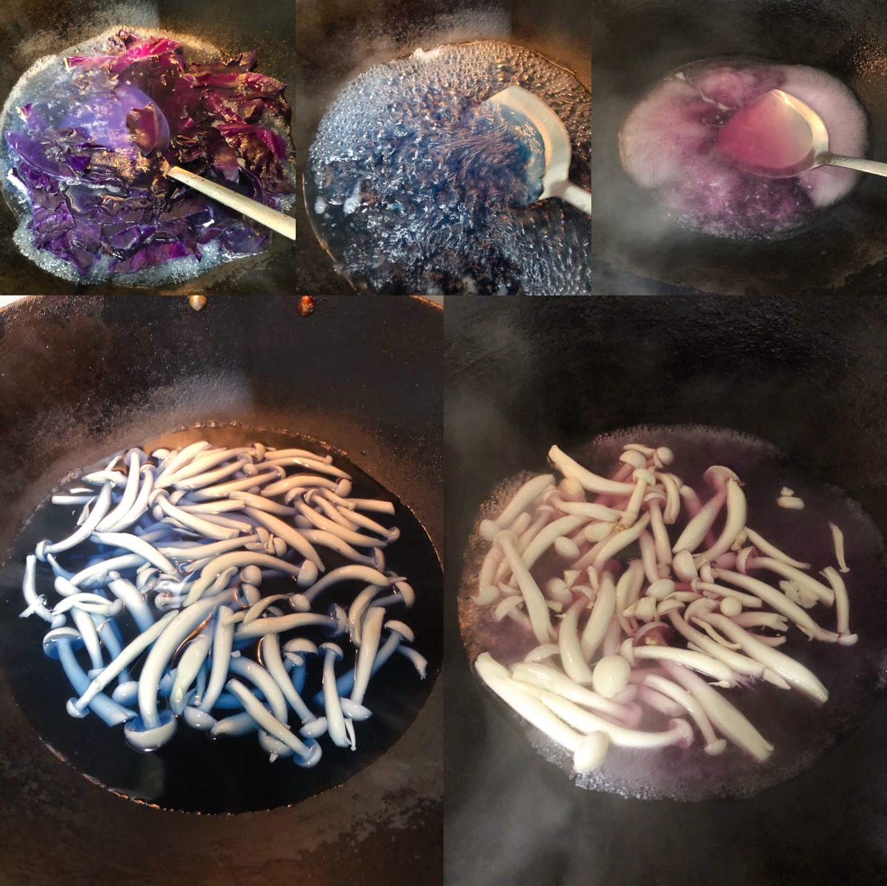 海鲜菇