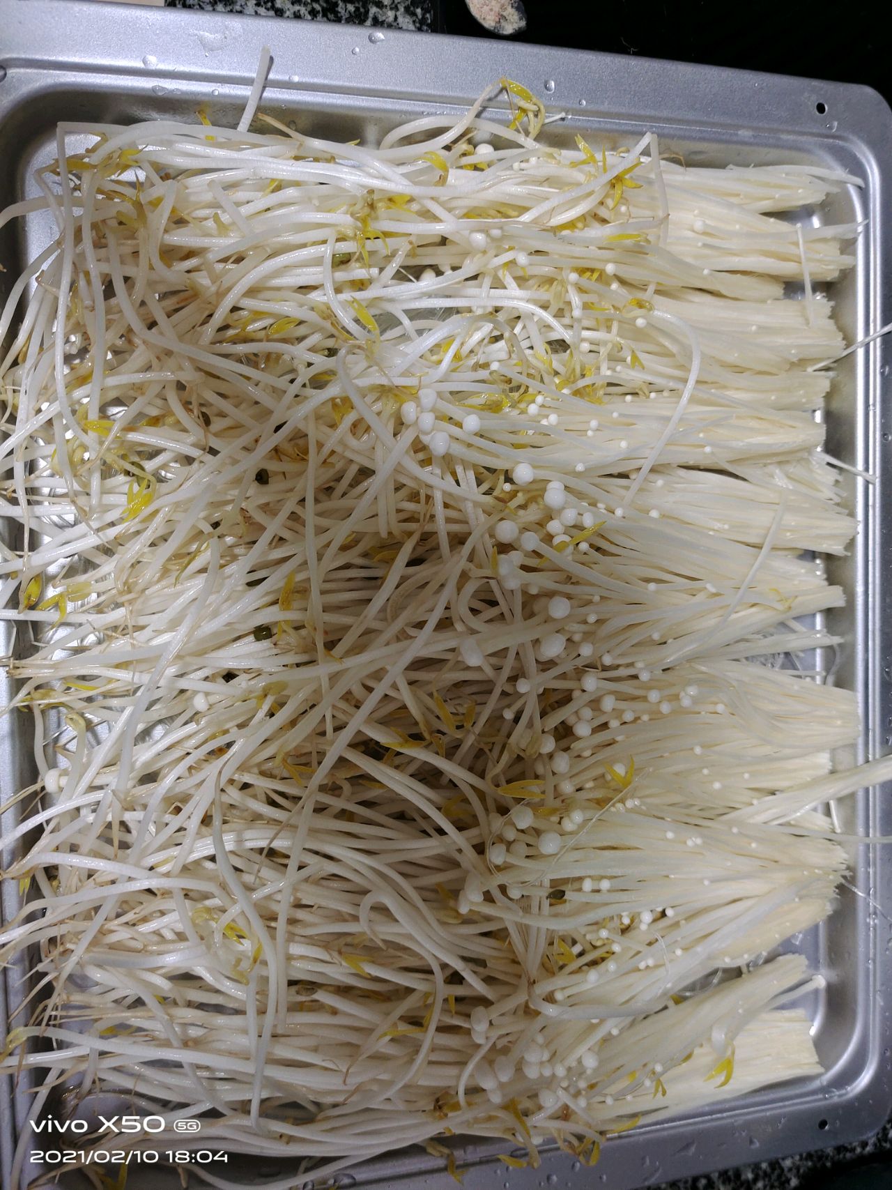 海鲜拼盘
