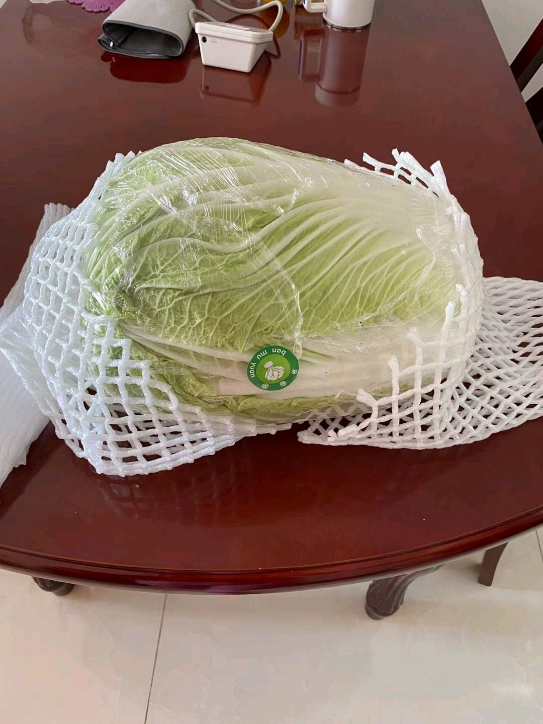 好彩头的百财（白菜）肉卷