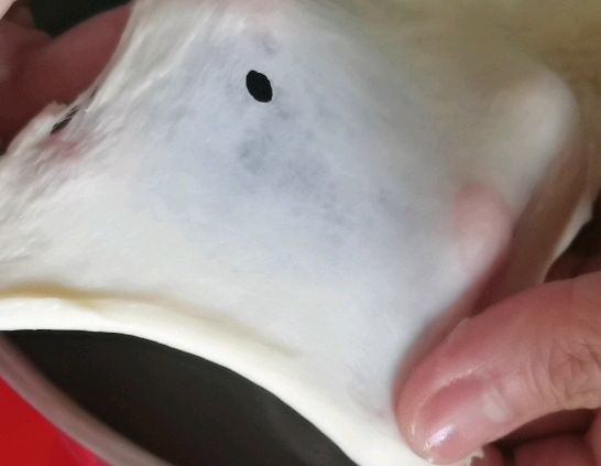 好吃到尖叫的肉松海苔面包