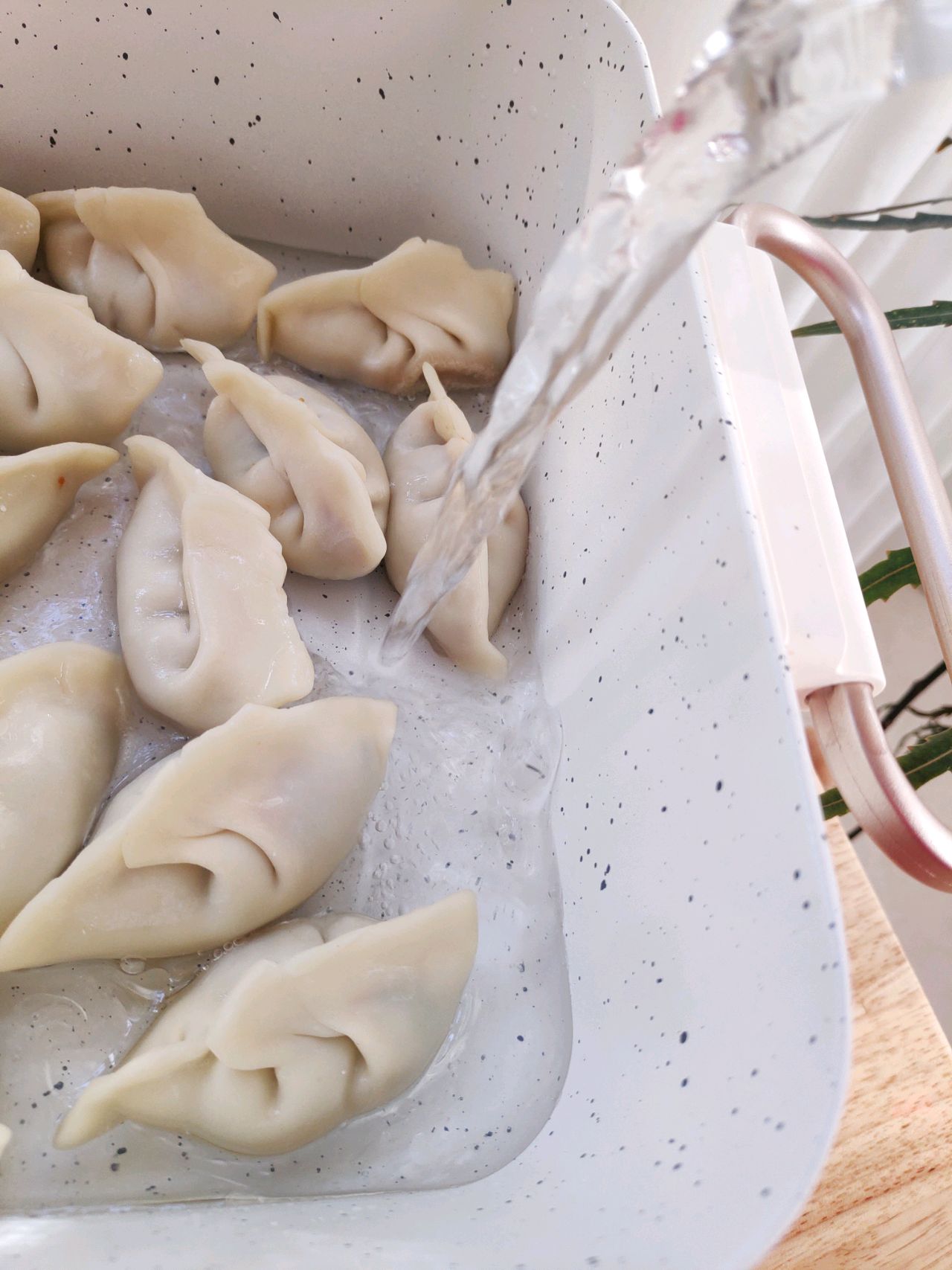 好吃的猪肉煎饺