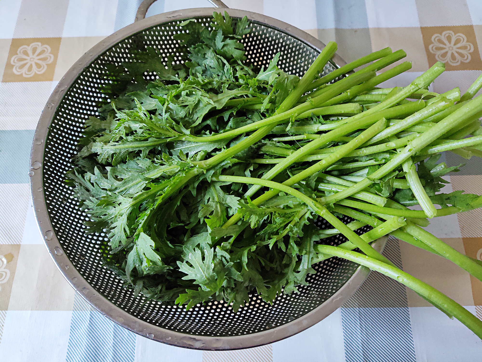 蚝油皇帝菜