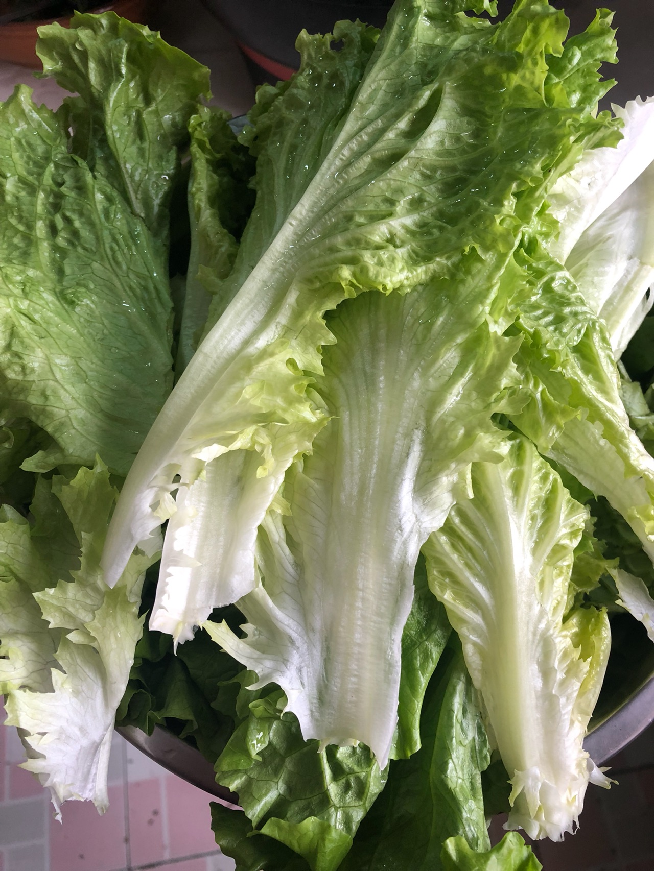 蚝油生菜