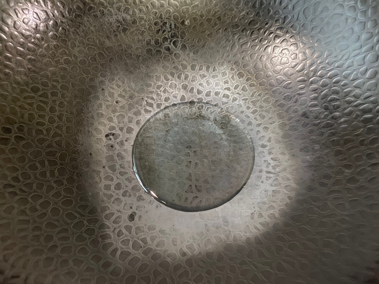 蚝油双菇