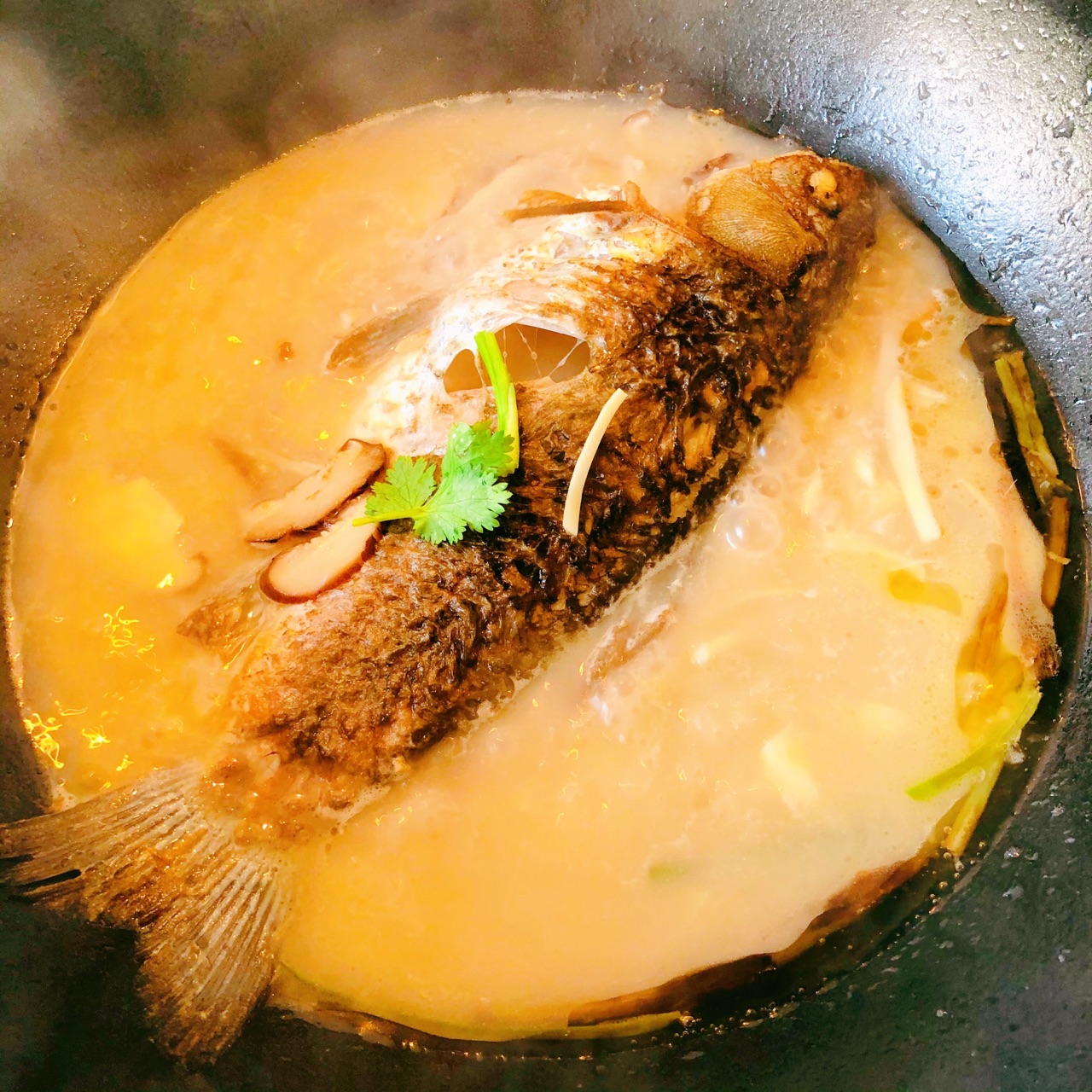 蚝油鱼汤