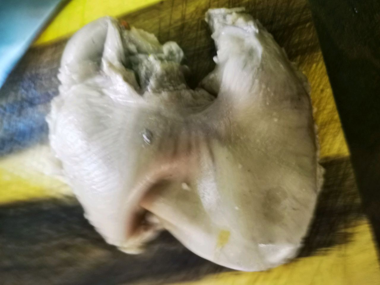 蚝油蘸猪肚