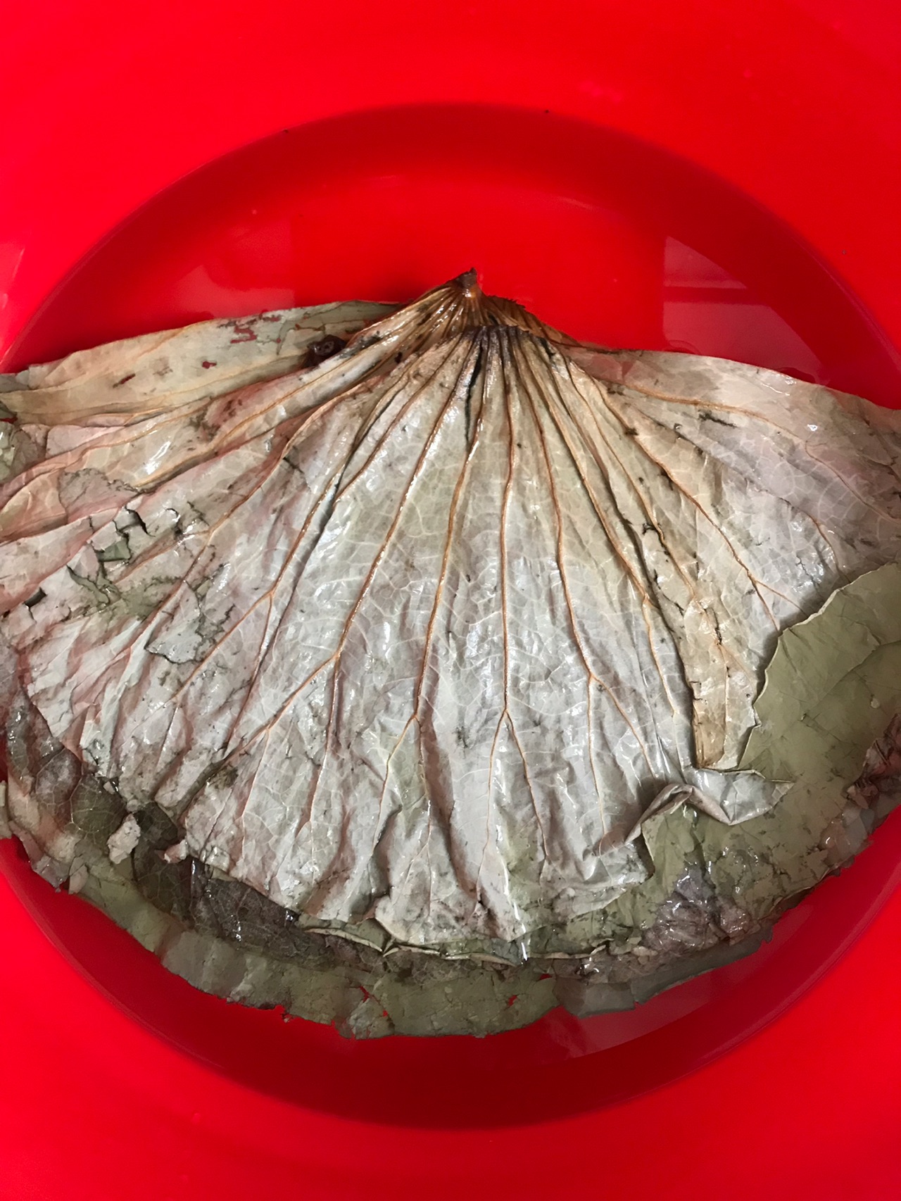 荷叶糯米鸡