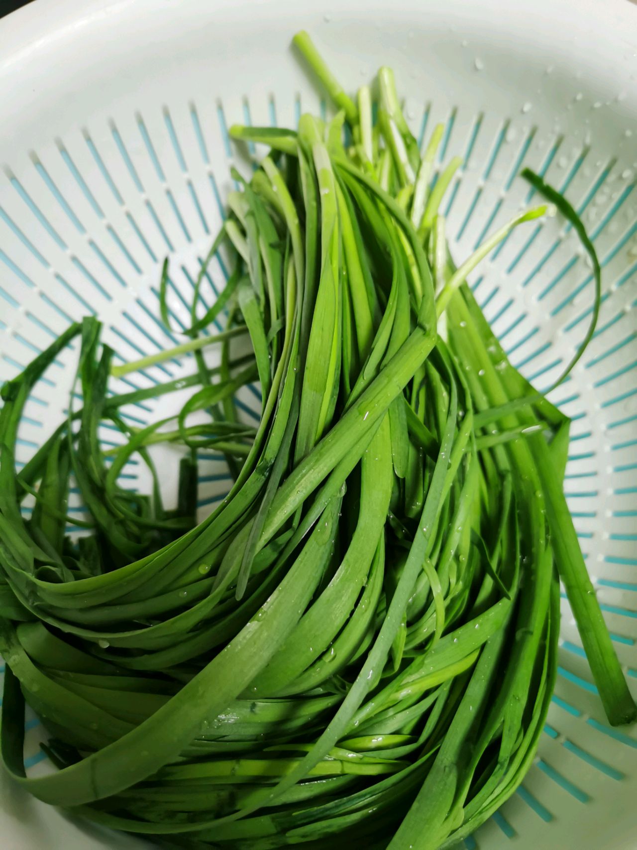黑麦韭菜盒子