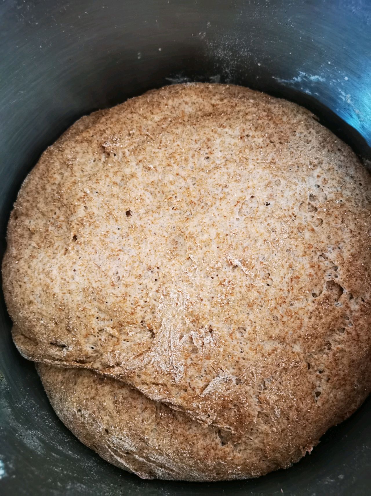 黑麦肉松豆沙面包。