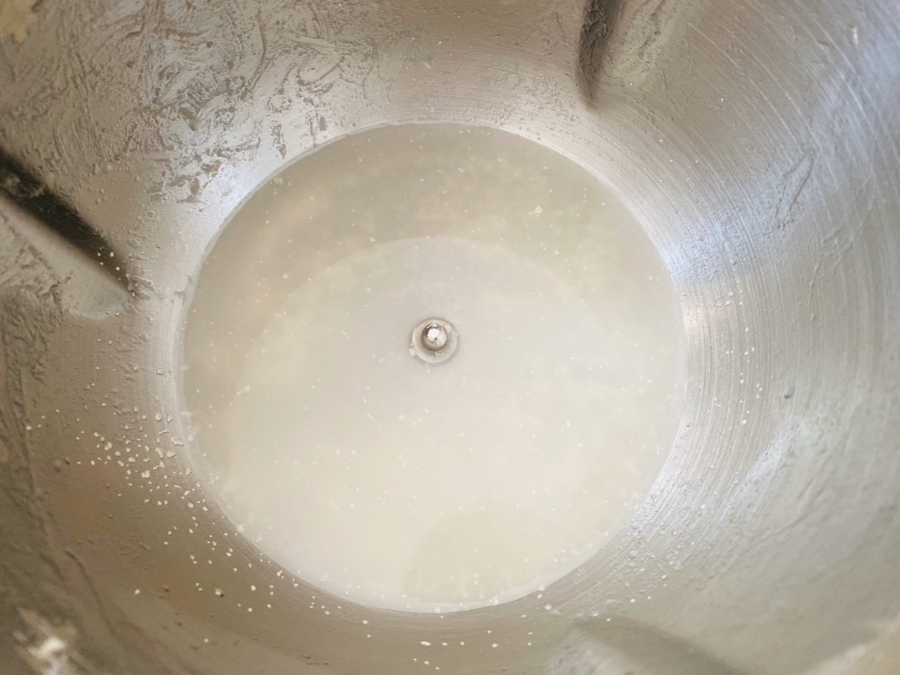 黑全麦小笼包