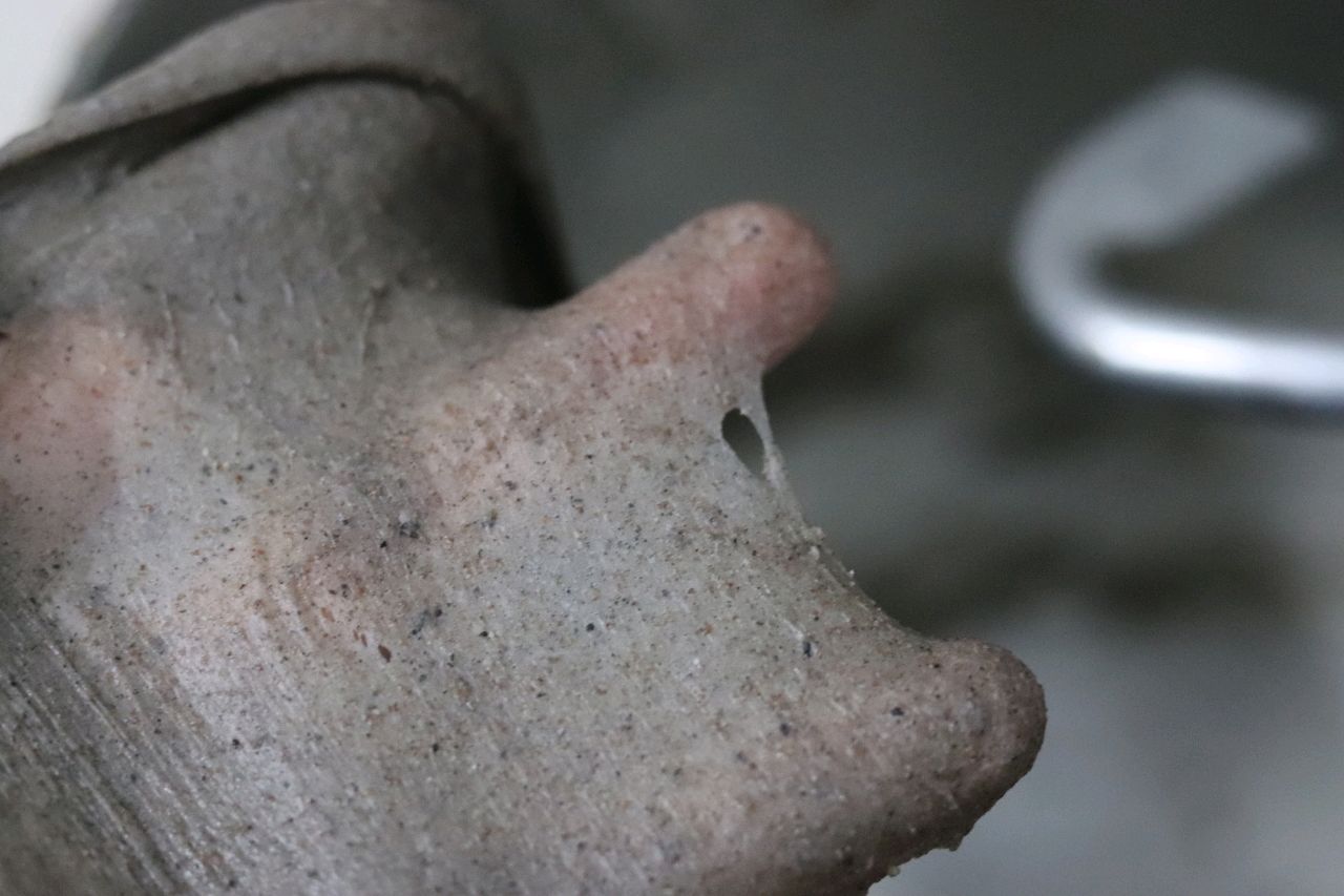 黑芝麻全麦餐包