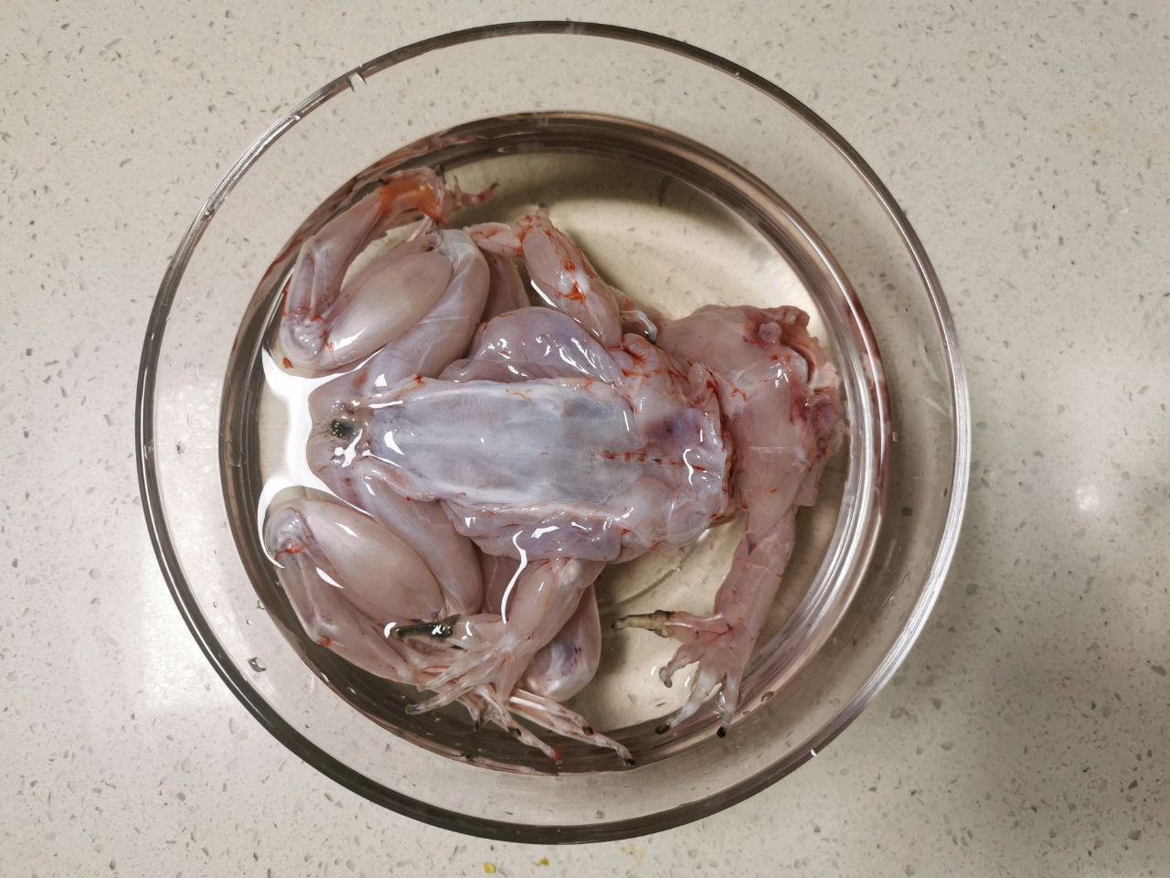 红火热辣水煮牛蛙