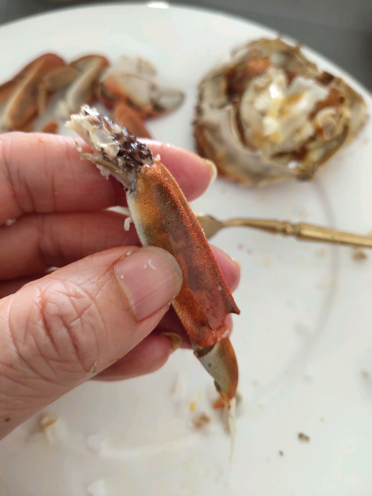 红楼菜之螃蟹小饺