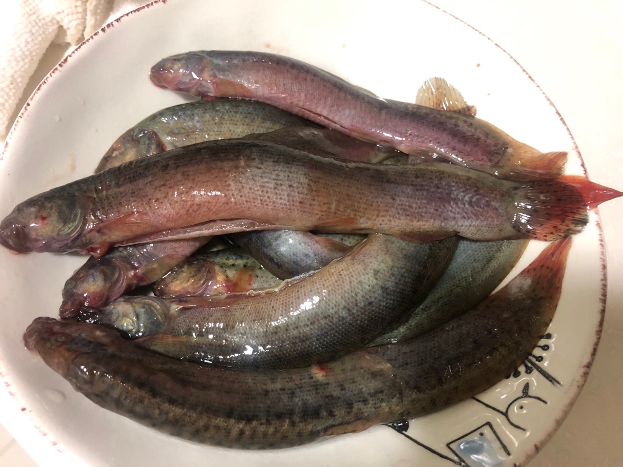 红烧泥鳅