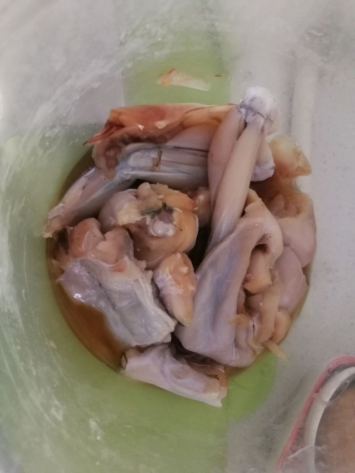 红烧牛蛙土豆