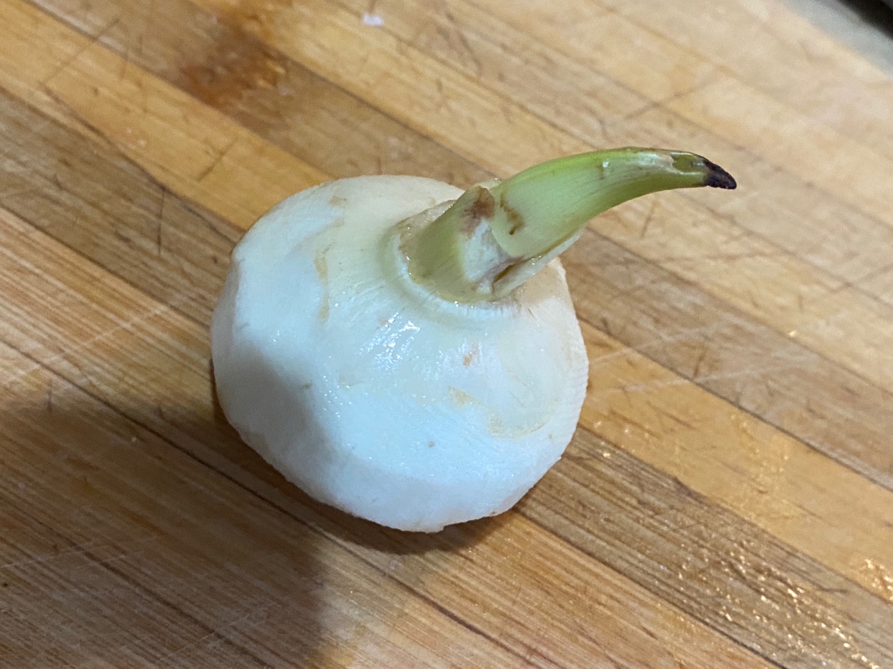 红烧肉炖慈菇
