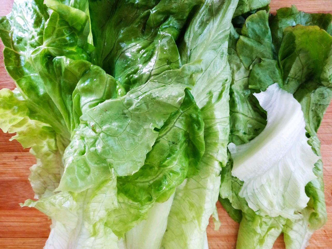 红烧虾菜