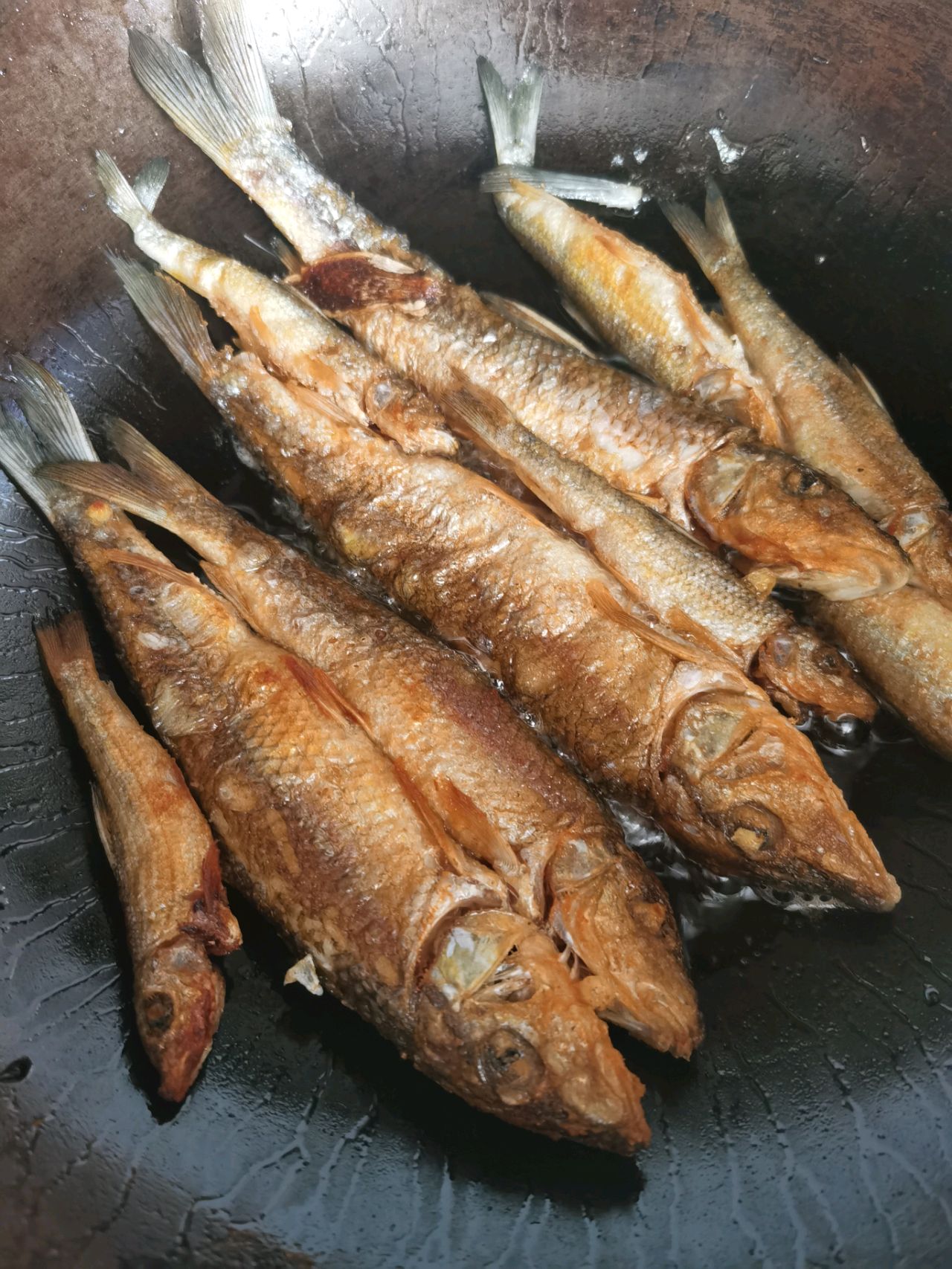 红烧野生沾鱼（超好吃）