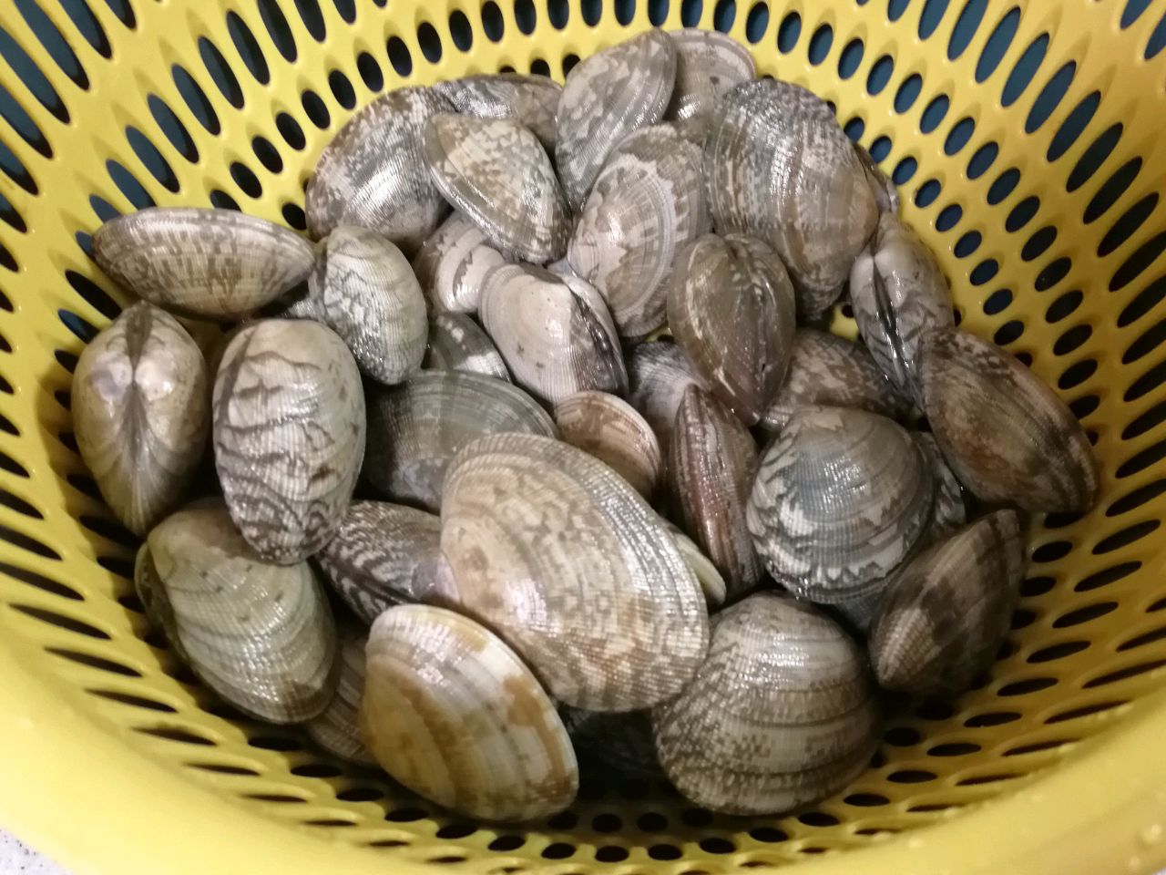 花蛤炖蛋