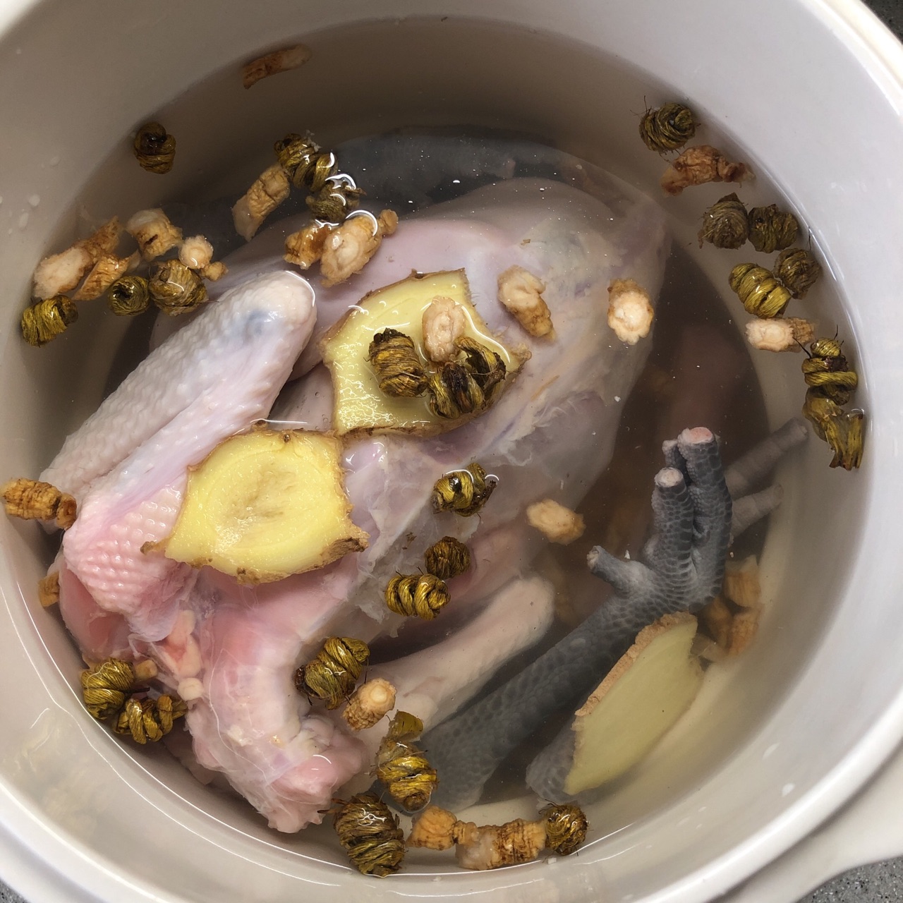 花旗参石斛炖鸡