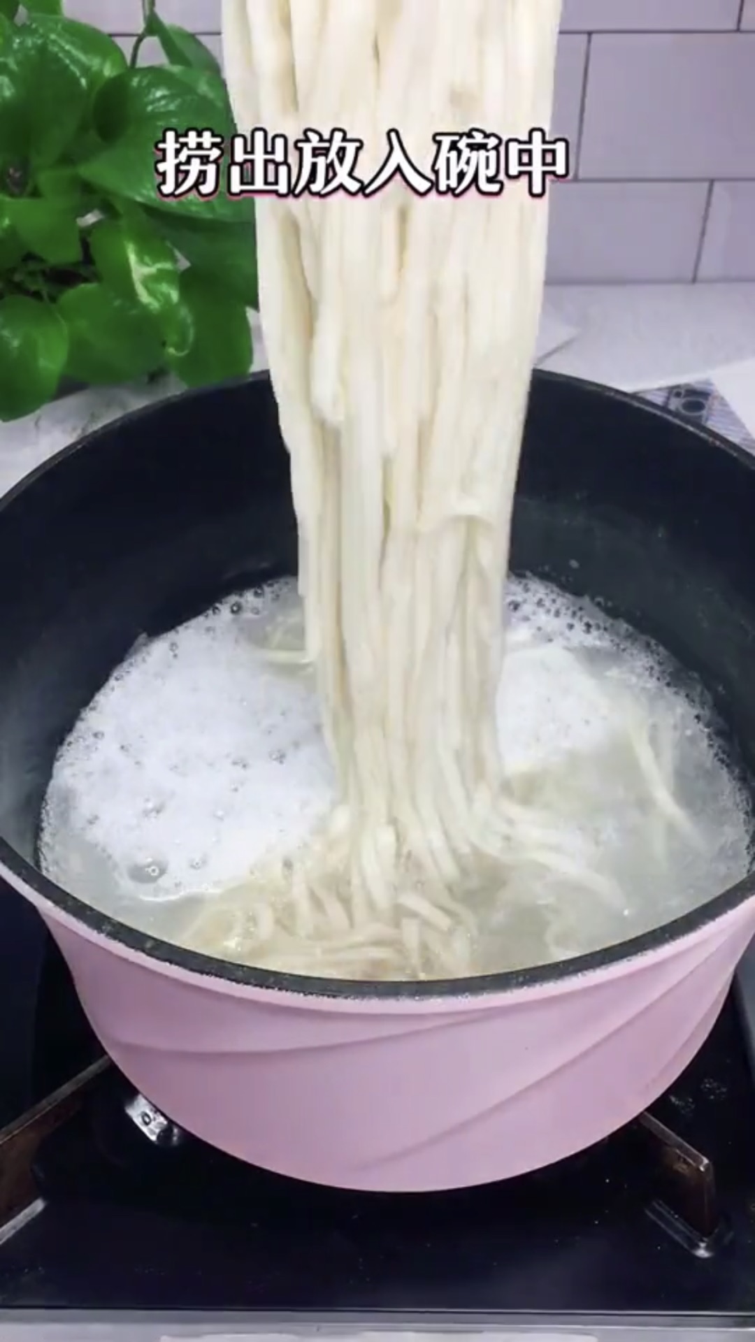黄磊老师的同款拌面