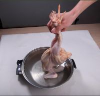 黄焖鸡夫妻寻找米饭宝宝