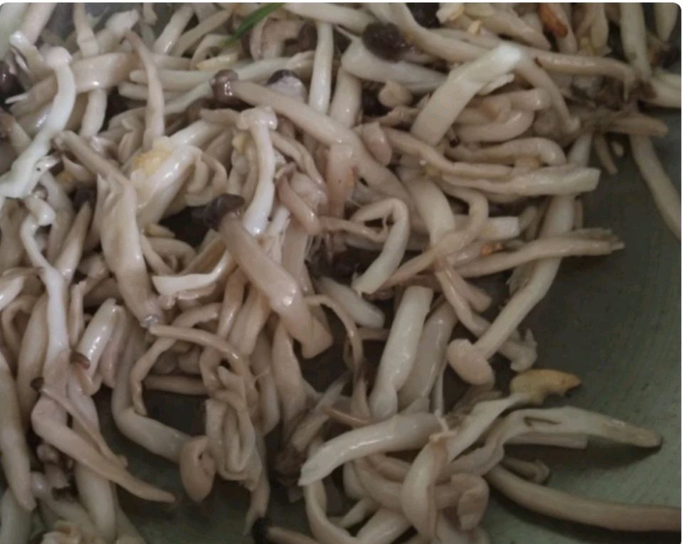 黄油蒜香什锦菇