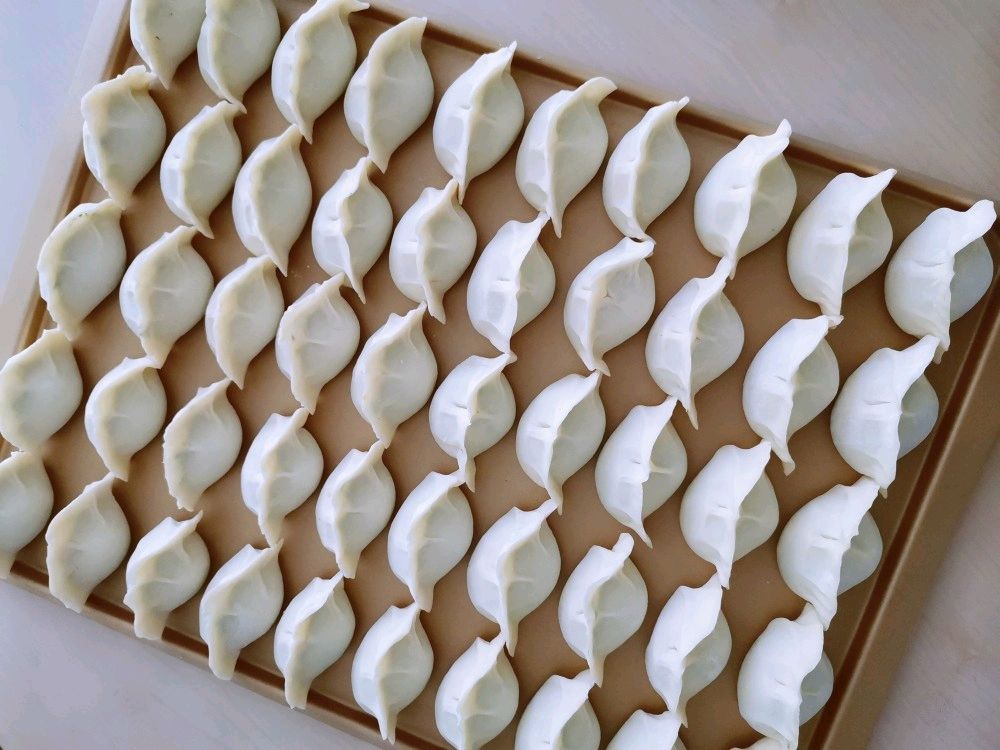 茴香馅饺子