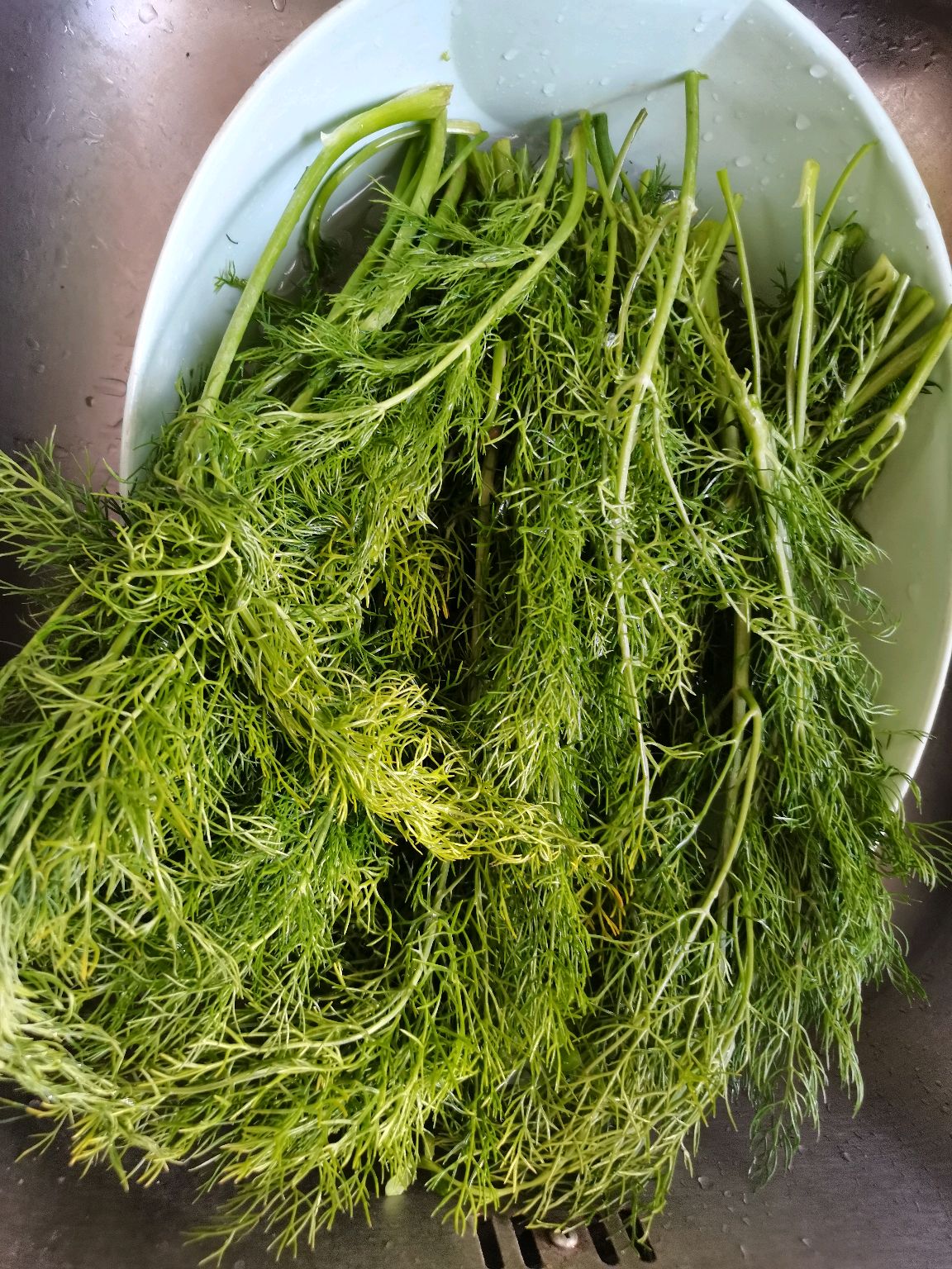 茴香馅水饺