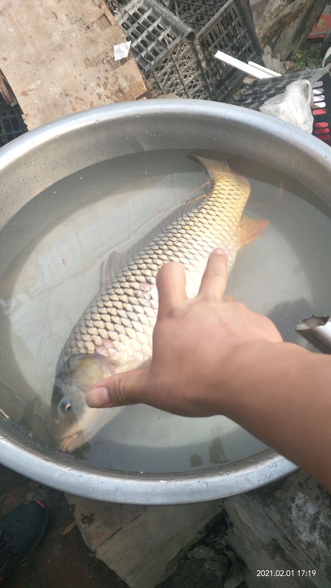 混沌