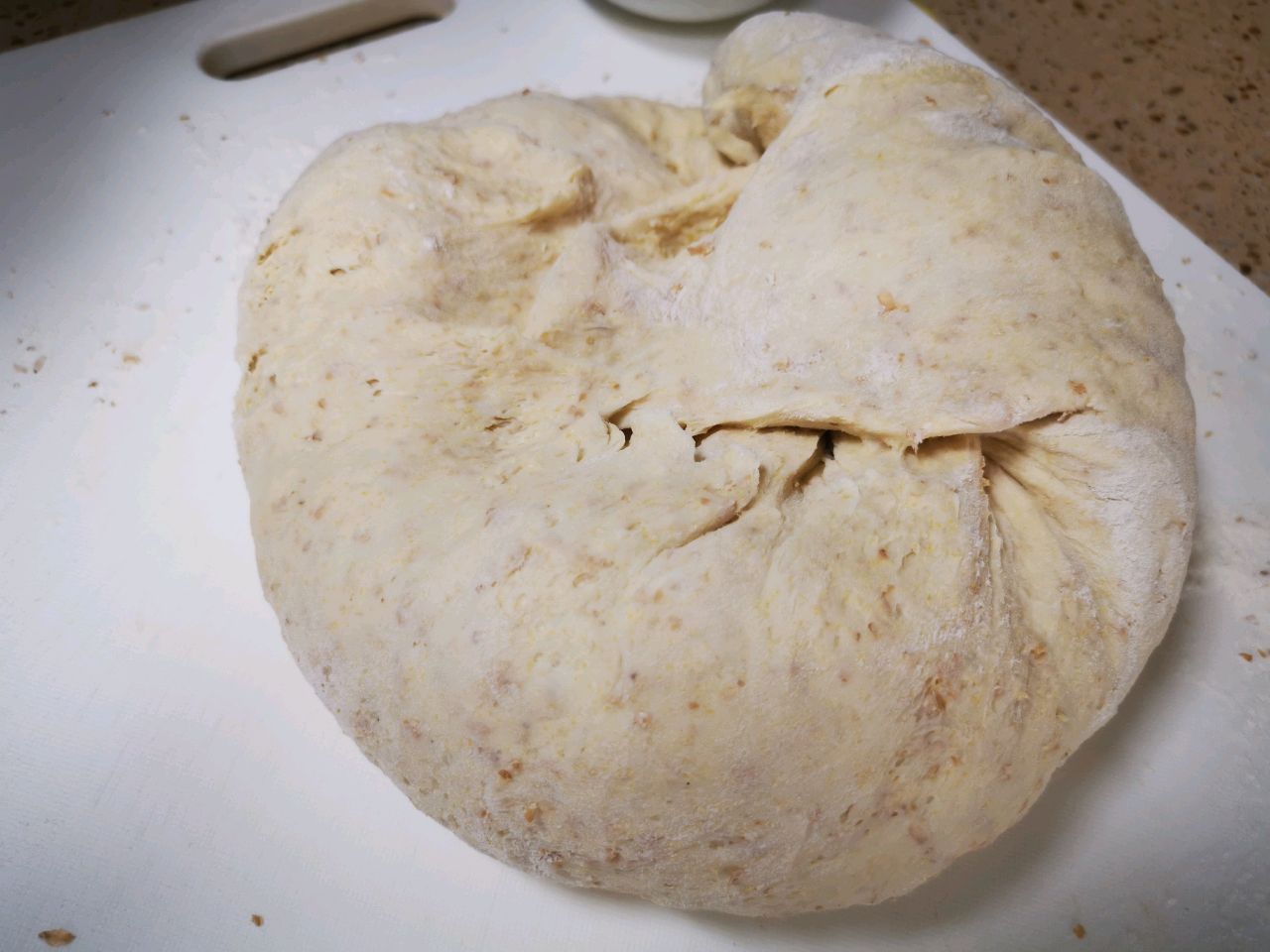 混发面羊肉包子