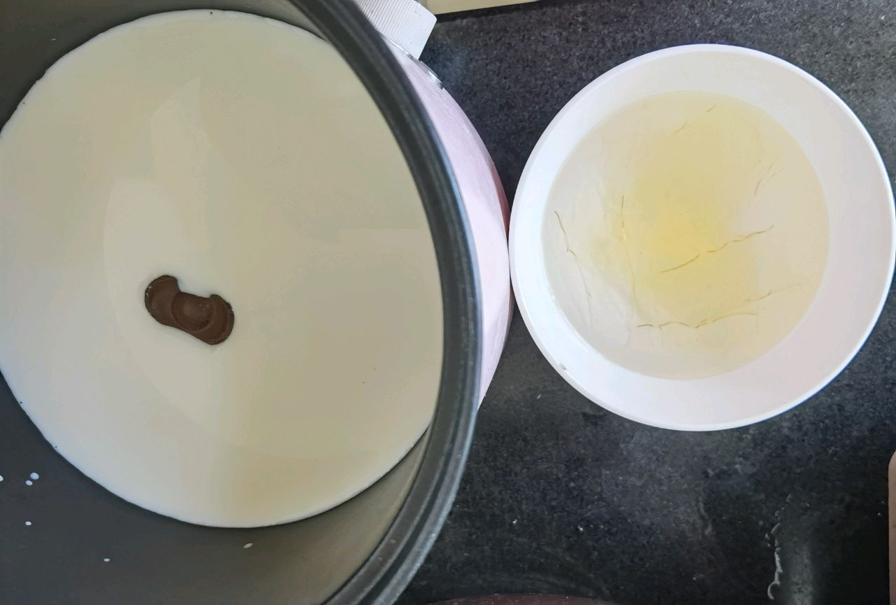 火遍全网～抖臀牛奶巧克力冻
