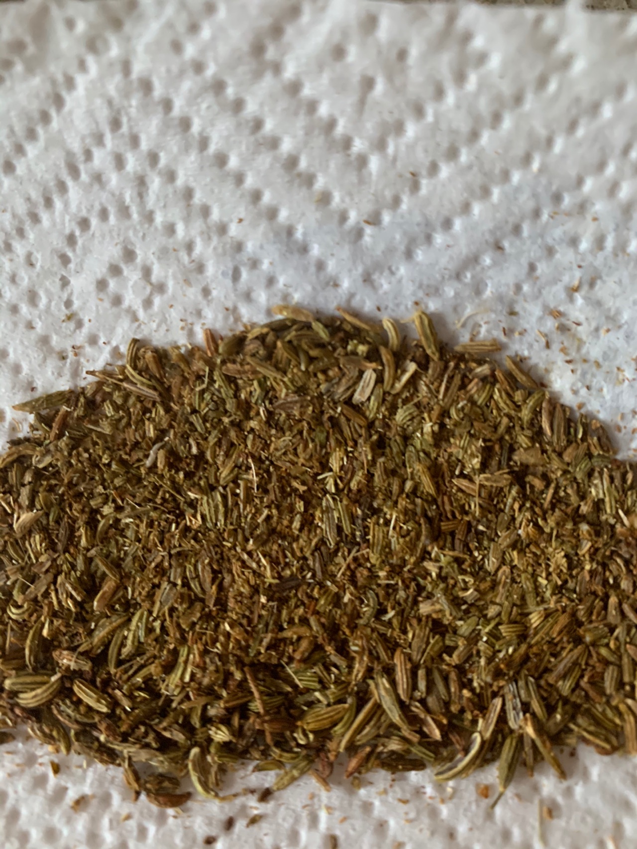 火锅店的茴香小油条