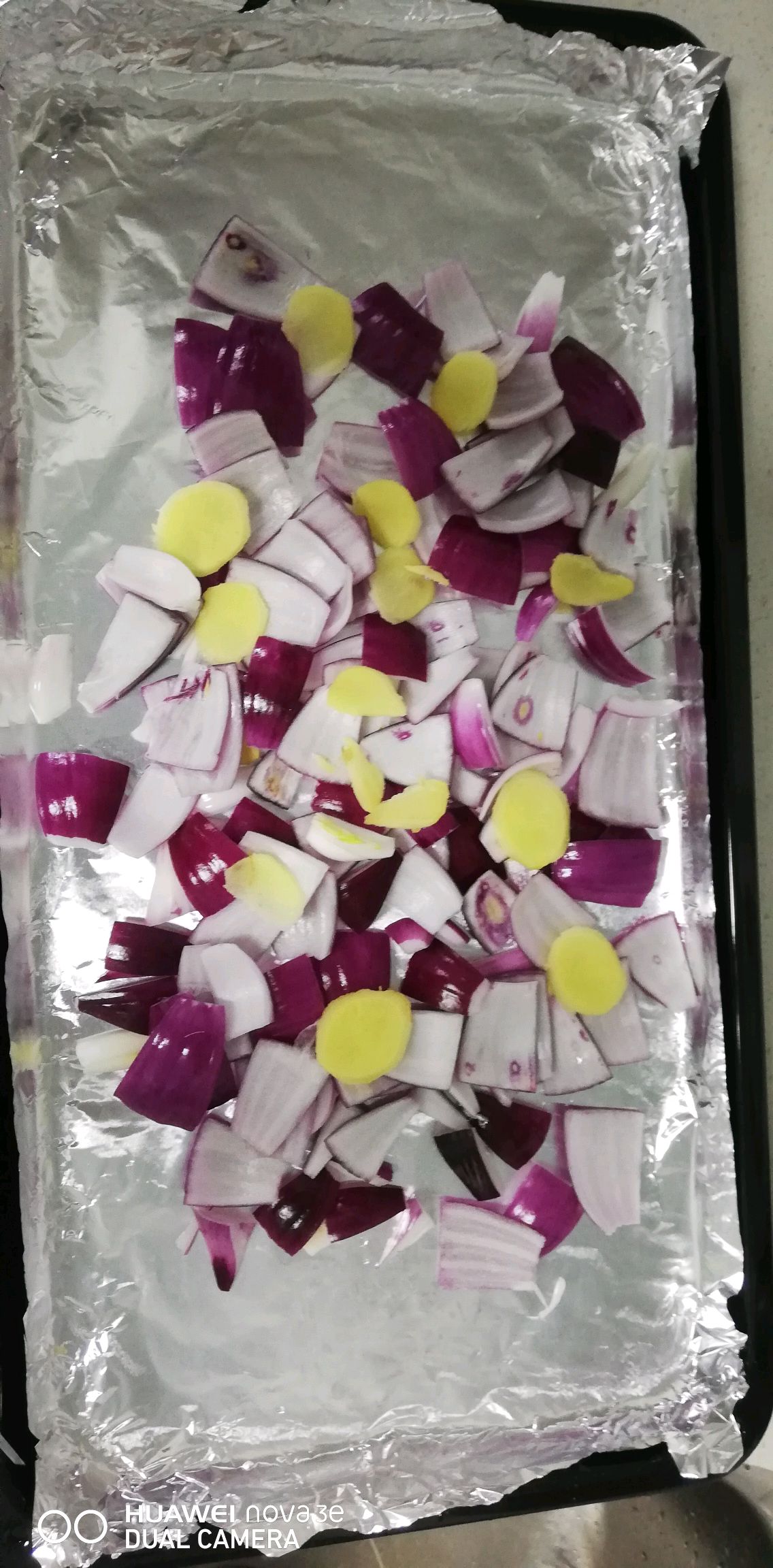 集成灶烤鱼
