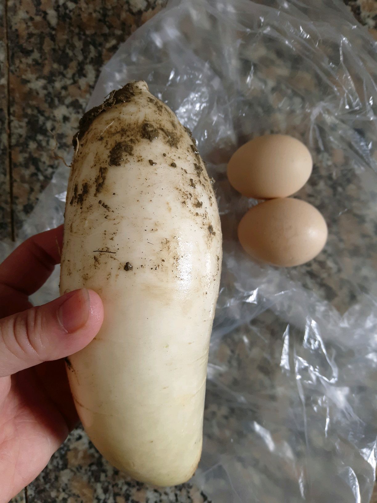 鸡蛋白萝卜汤