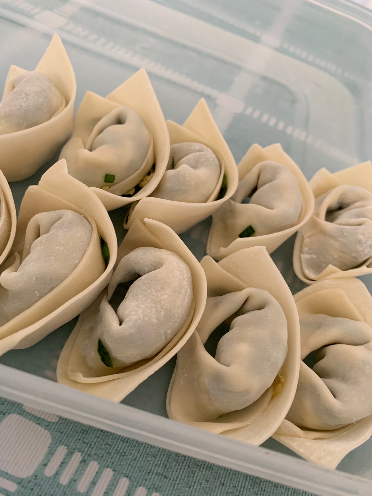 鸡蛋韭菜饺子 素菜饺子