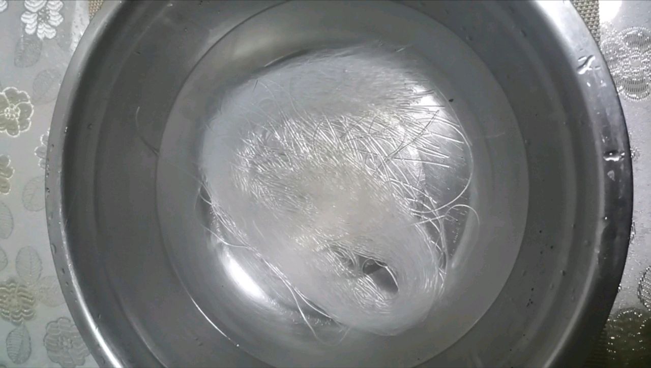 鸡蛋木耳粉丝饺子