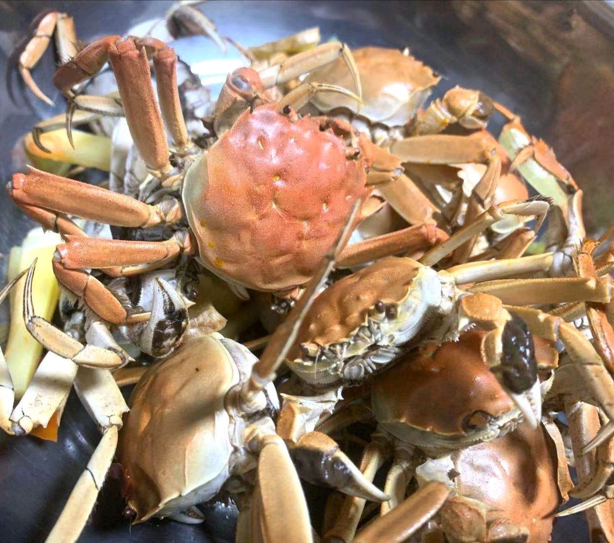 极简版水煮河蟹