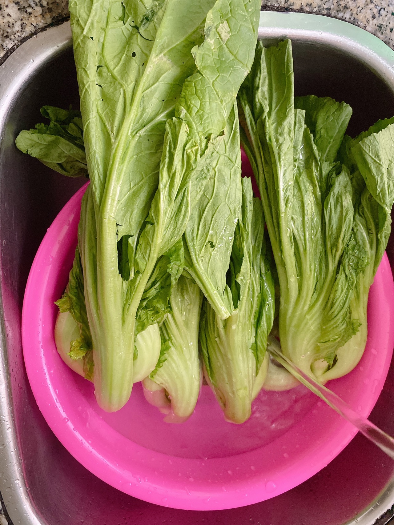 即食泡酸菜