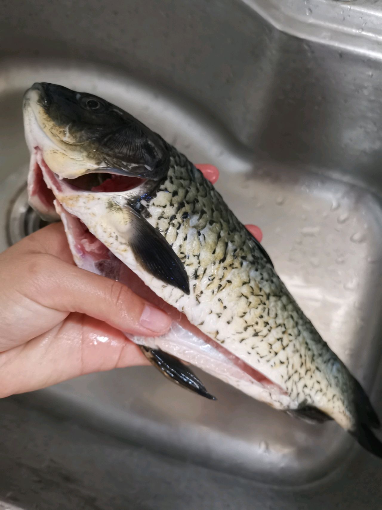 鲫鱼豆腐汤