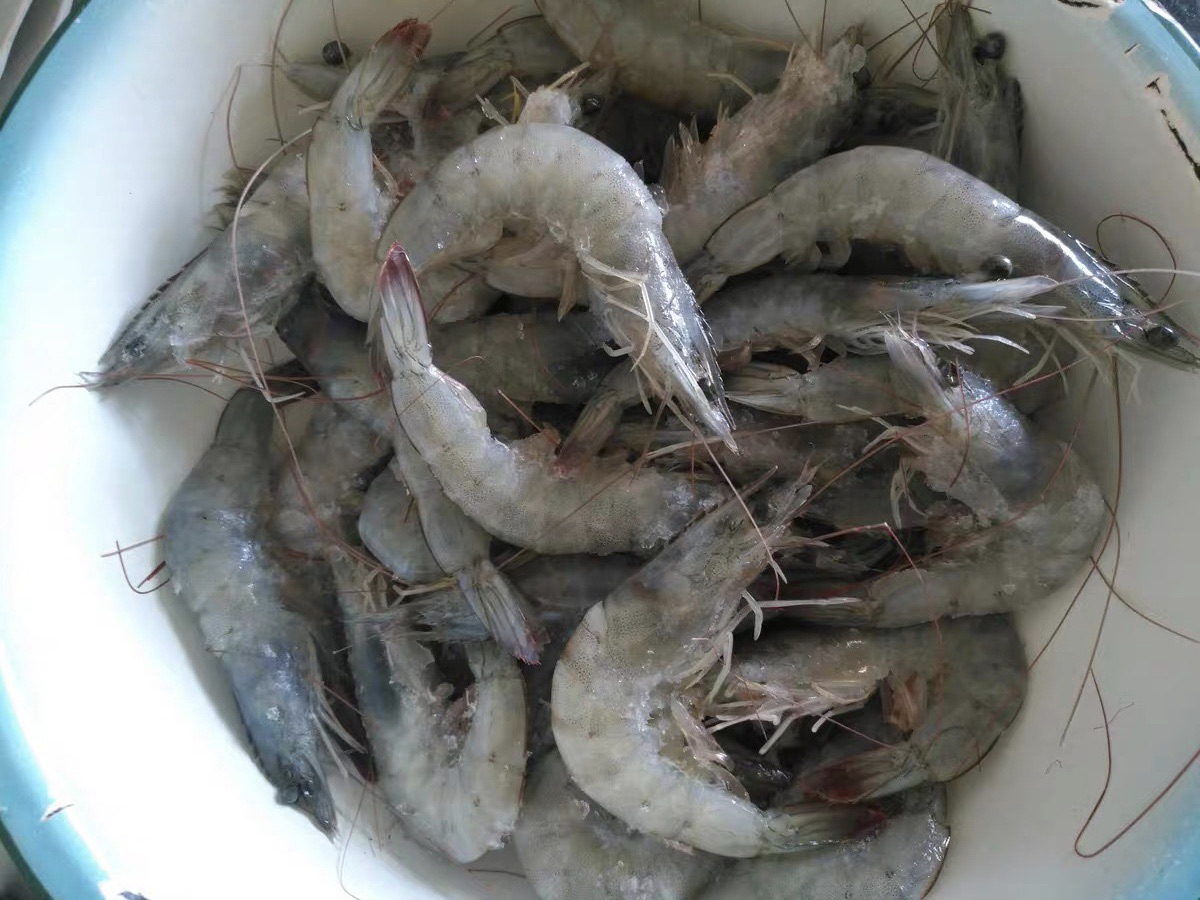 鸡汁虾