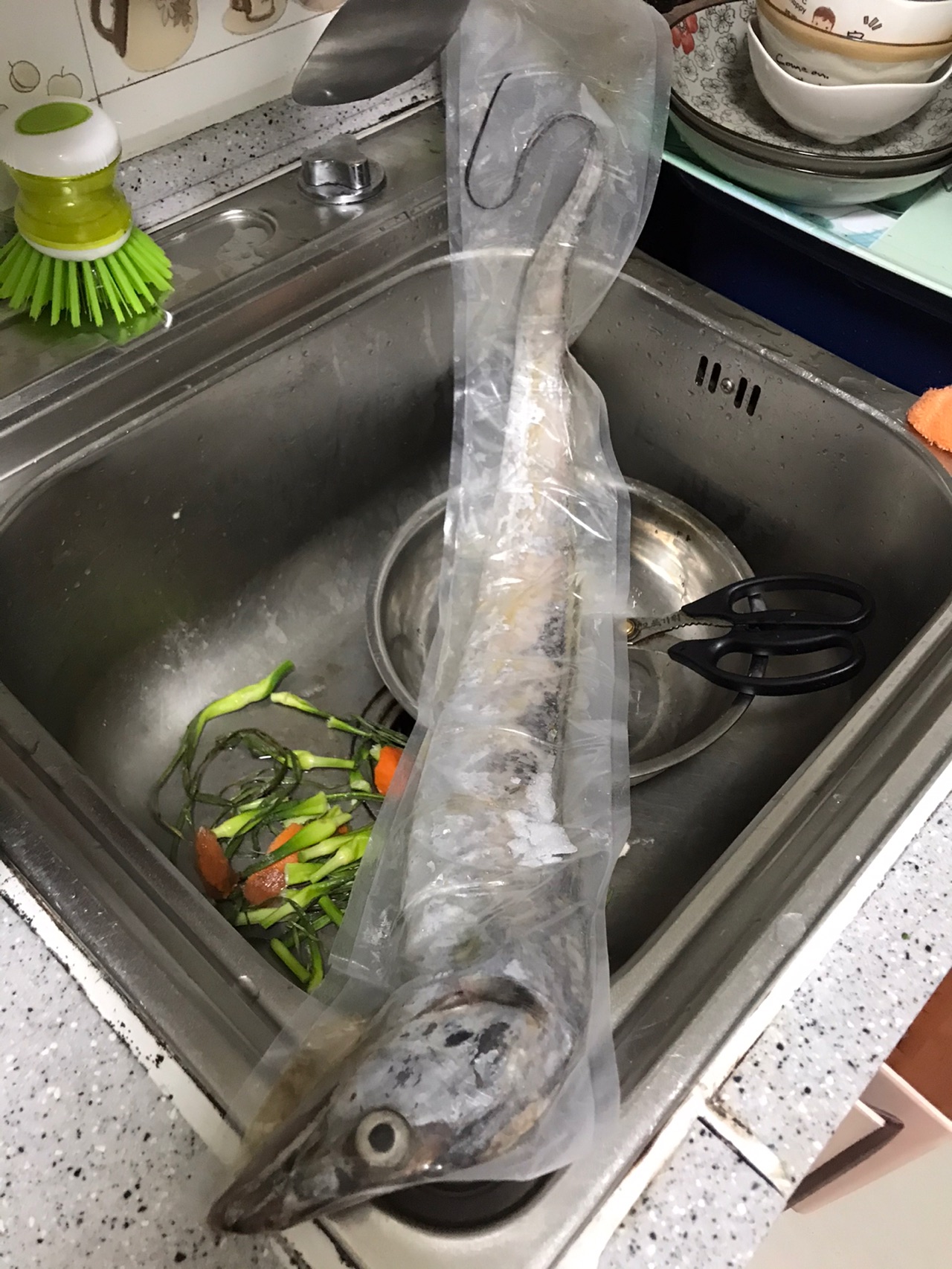 家常渤海湾刀鱼