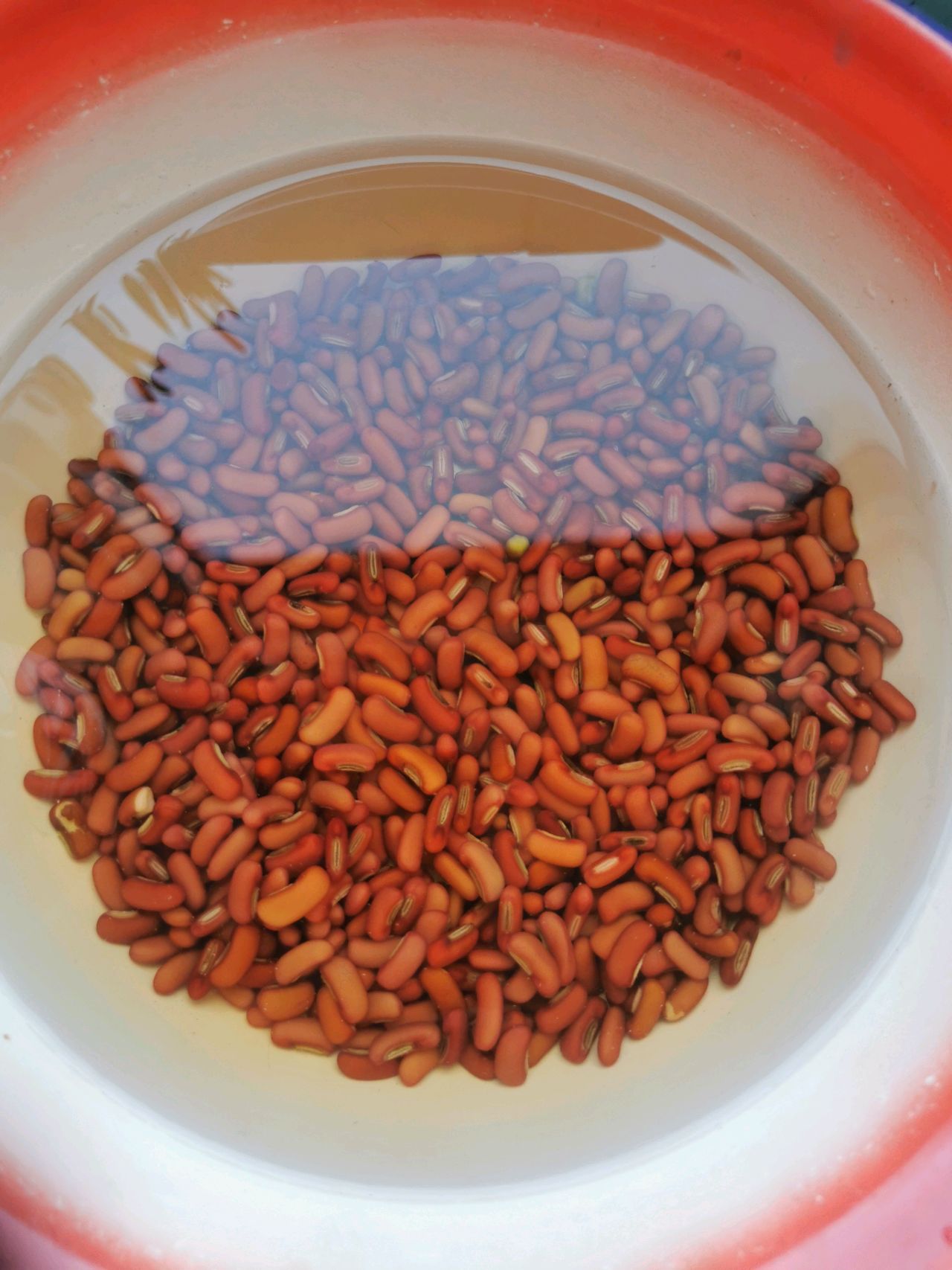 家常红豆牛奶