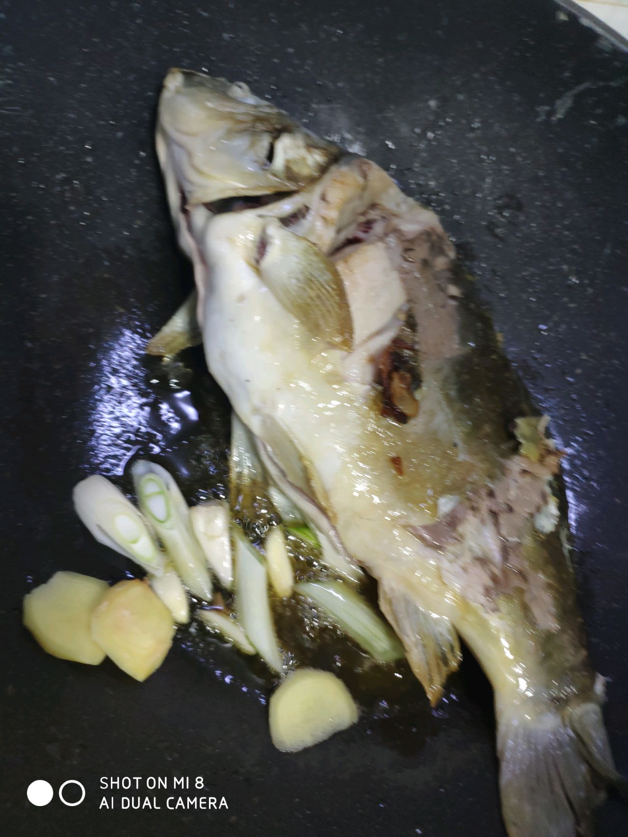 家常红烧炖鱼