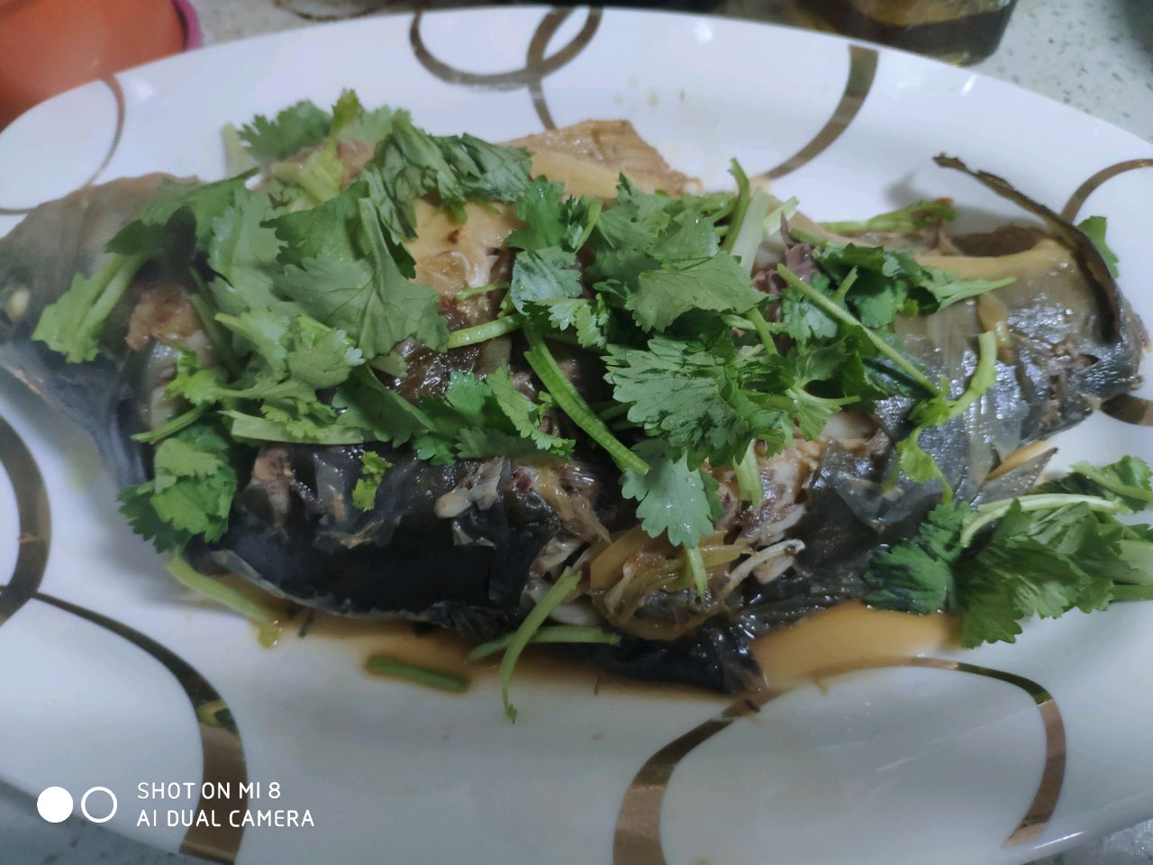 家常红烧炖鱼