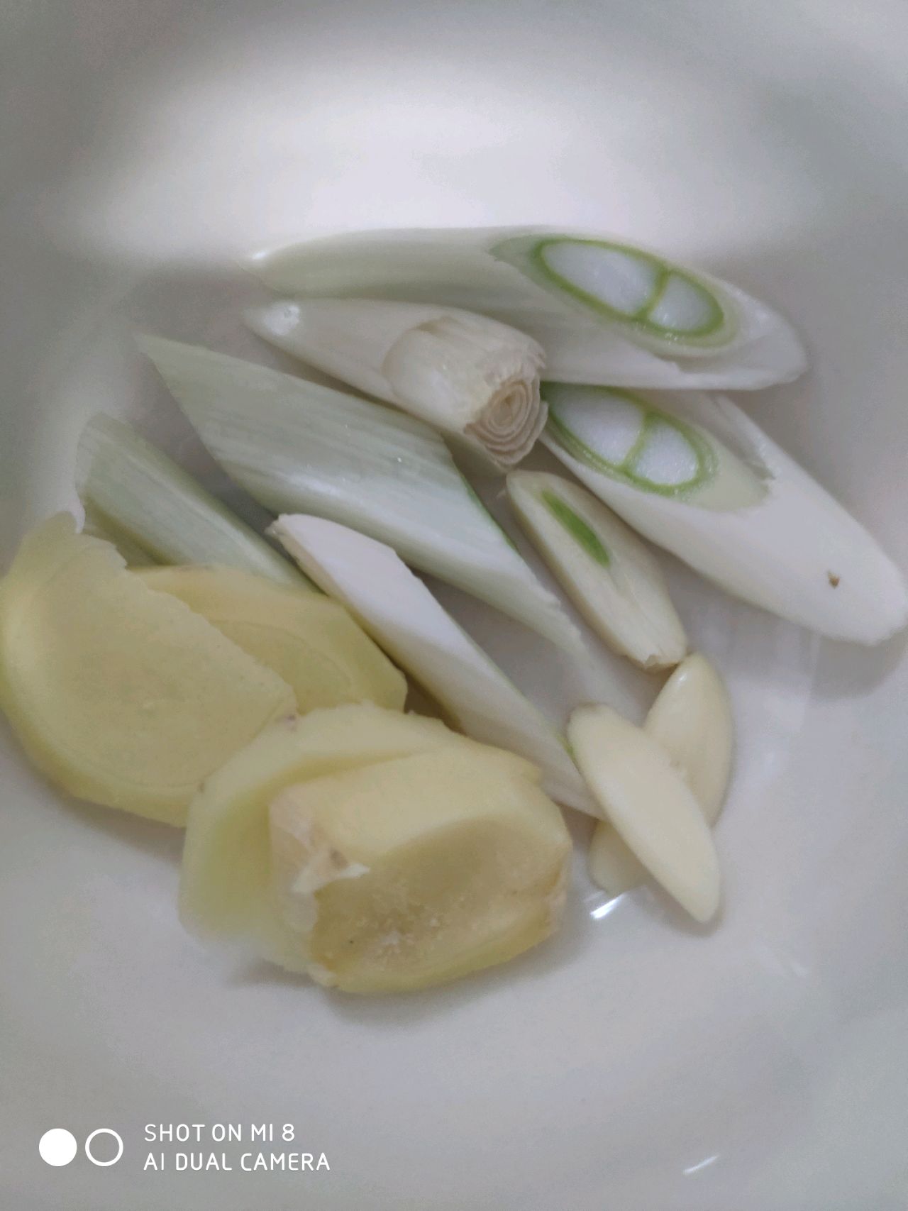 家常红烧炖鱼